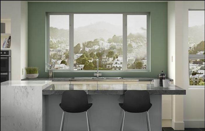 Windowsill Plants for Every Household
